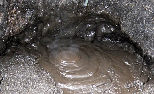 Bubbling mud at Tokaanu Hot Springs