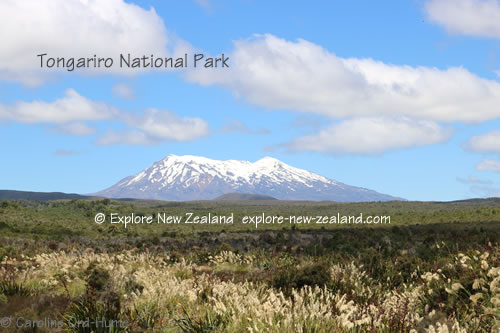 Manawatu-Whanganui, Tongariro National Park Manawatu-Whanganui, Tongariro National Park
