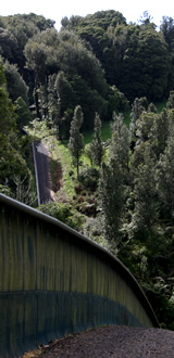 Pest-proof fence, Maungatautari Mountain, New Zealand