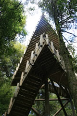 Viewing Tower, Maungatautari Mountain, New Zealand