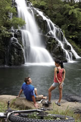 Karangahake Historic Walkway, New Zealand - Photographer: Chris McLennan