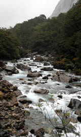 Fiordland National Park River