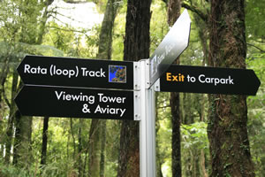 Rate Loop Track Maungatautari Mountain New Zealand