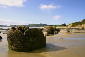 Moeraki Boulders Beach New Zealand