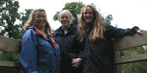 Viewing Tower, Rata Loop Track, New Zealand