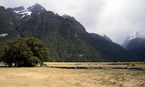 Fiordland National Park, New Zealand