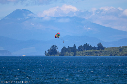 Paragliding, Lake Taupo, Tongariro National Park Mountains