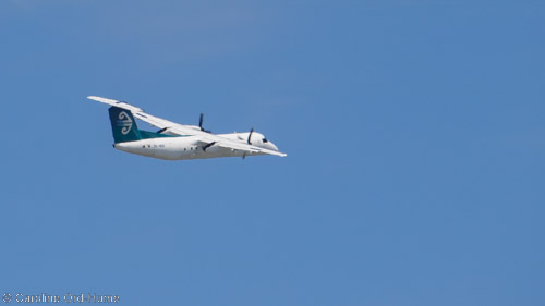 Air New Zealand Domestic Flight