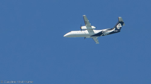 Air New Zealand Napier Airport