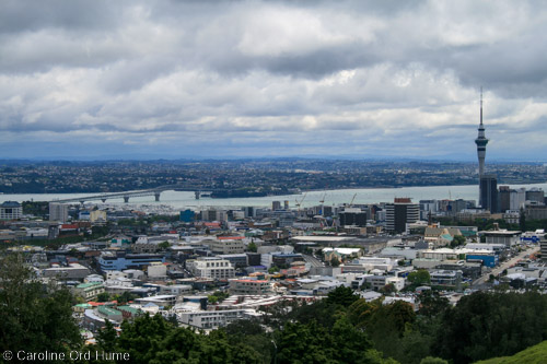 View Over Auckland from Mount Eden, Mountain of the Whau tree, Volcano New Zealand