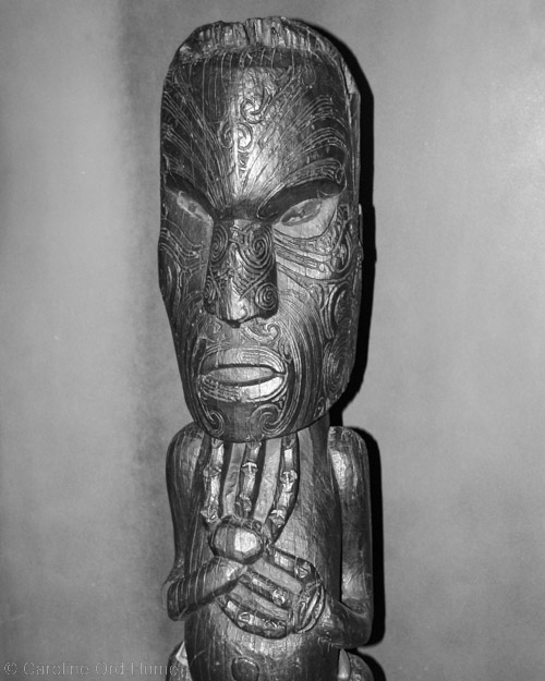 Maori Carving Auckland Museum New Zealand
