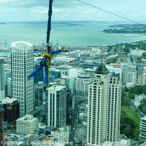 Sky Wire Photo Taken from Inside Sky Tower, Auckland, New Zealand