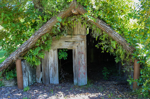 Bay of Plenty Buried Village Rotorua