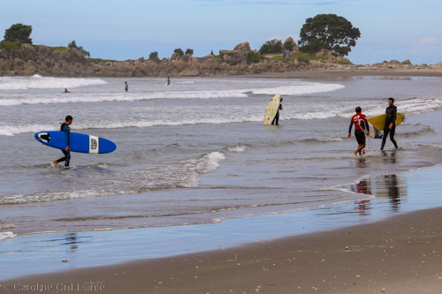 Bay of Plenty Surfing