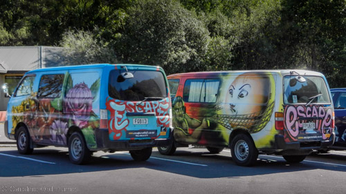 Painted 2 Berth Campervans at Huka Falls Car Park, Waikato, North Island, New Zealand 