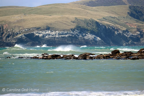 Catlins Coastal Landscape of New Zealand Catlins Coastal Landscape of New Zealand