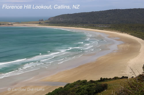 View From Florence Hill Lookout in the Catlins on the New Zealand South Island South Coast View From Florence Hill Lookout in the Catlins on the New Zealand South Island South Coast