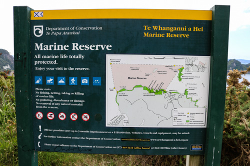 Coromandel Peninsula Marine Reserve Sign