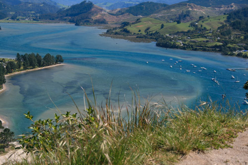 Coromandel Peninsula View from Mt Paku Summit Walk, New Zealand