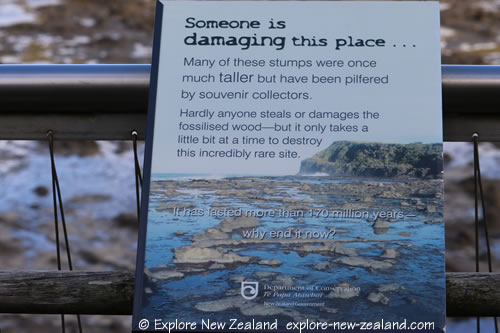 Curio Bay Fossilised Forest Preservation Sign, the Catlins, South Island NZ Curio Bay Fossilised Forest Preservation Sign, the Catlins, South Island NZ