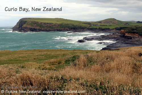 View of Curio Bay from the Headland, Catlins, Southland, New Zealand