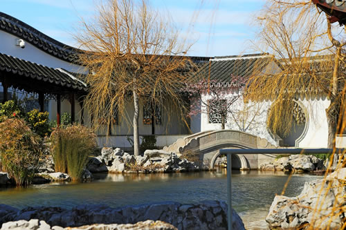 Dunedin Authentic Chinese Garden, New Zealand, Otago, South Island, NZ