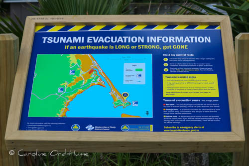 Earthquake Tsunami Evacuation Information Board, New Zealand