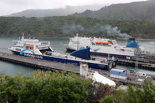 Interislander and Bluebridge Ferries at Picton Dock