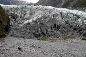 Fox Glacier New Zealand