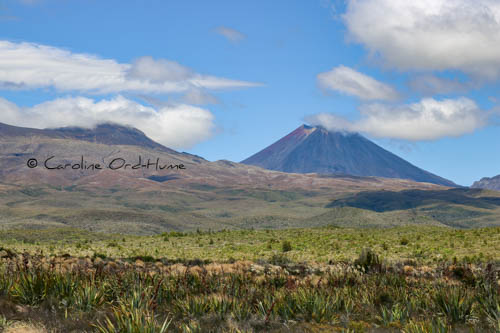 Great Walks View of Tongariro National Park Landscape, New Zealand