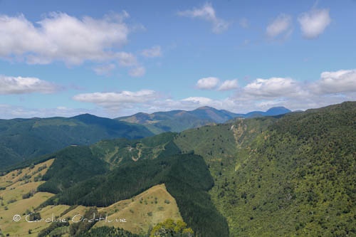 Heaphy Track in Kahurangi National Park, South Island, New Zealand
