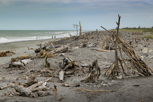 Driftwood on Hokitika Beach, on the Wild West Coast of the South Island, New Zealand