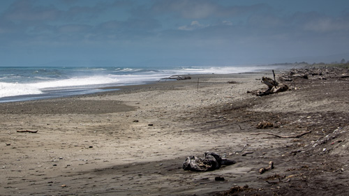 Hokitika Beach Walk, Easy Walk, Low Fitness Level, West Coast, South Island, New Zealand