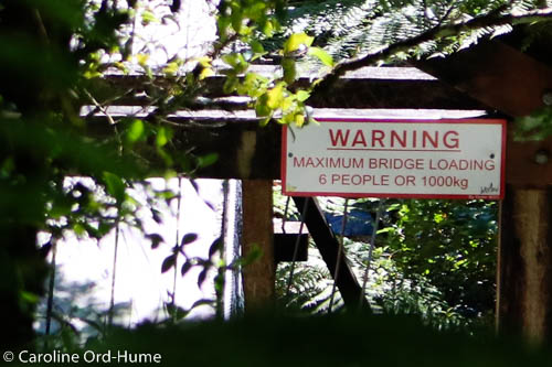 Hokitika Gorge Swing Bridge Weight Warning Sign, West Coast, New Zealand