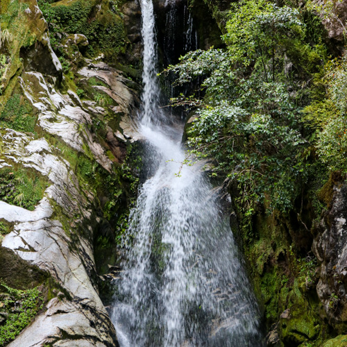 Dorothy Falls near Lake Kaniere, Hokitika attractions on the West Coast, South Island, New Zealand