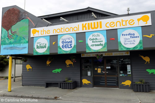 National Kiwi Centre, Bird Sanctuary in Hokitika, West Coast, South Island, New Zealand