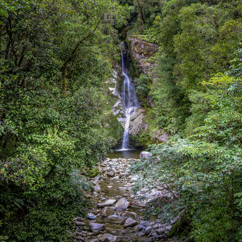 Dorothy Falls Walk, Lake Kaniere, Hokitika Walks, West Coast, New Zealand