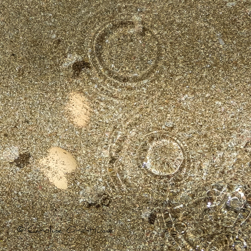 Boiling Eggs in a Hot Pool in the Sand on Hot Water Beach, Coromandel Peninsula, Waikato, Bay of Plenty, North Island, New Zealand