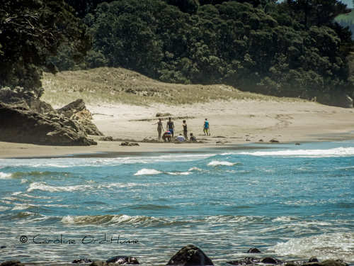 Looking for Places to Dig your own Hot Pools on Hot Water Beach, Coromandel Peninsula, Waikato, Bay of Plenty, North Island, New Zealand