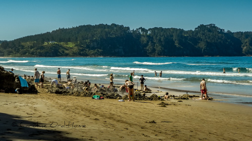 Digging Hot Pools on Hot Water Beach, Coromandel Peninsula, Waikato, Bay of Plenty, North Island, New Zealand