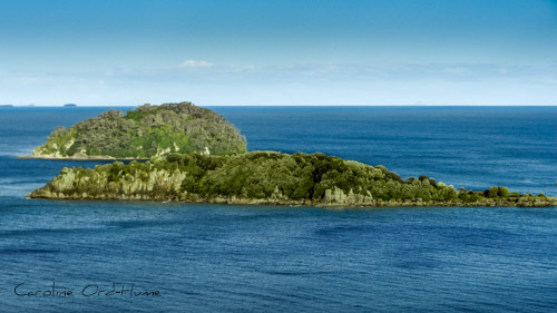Two New Zealand islands off the coast, Bay of Plenty, North Island