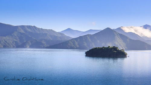 New Zealand island in Marlborough Sounds in early morning light with clear blue sky, South Island ferry trip, New Zealand