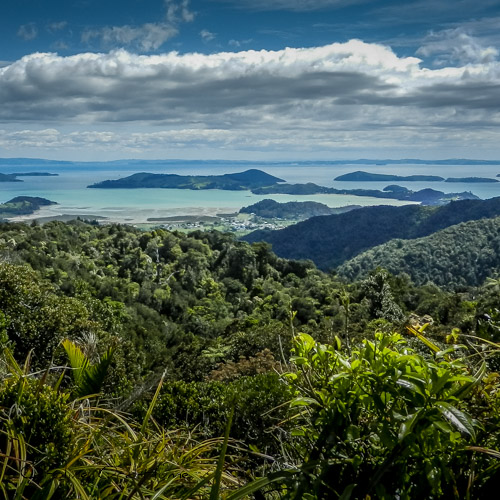 New Zealand islands view from SH25 of islands in the Bay of Islands, Northland East Coast, North Island