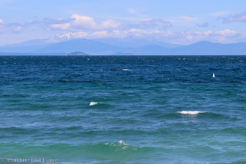 Lake Taupo is the Largest Lake in New Zealand