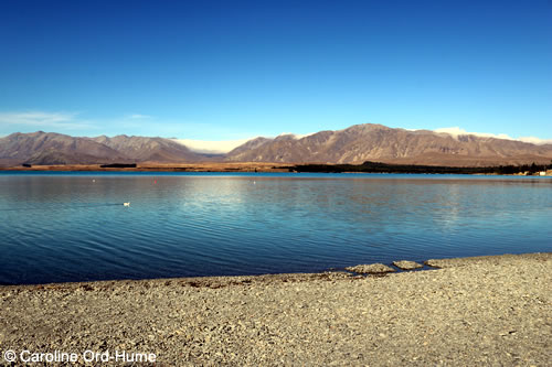 Lake Tekapo, Mackenzie Country, Canterbury, South Island, New Zealand
