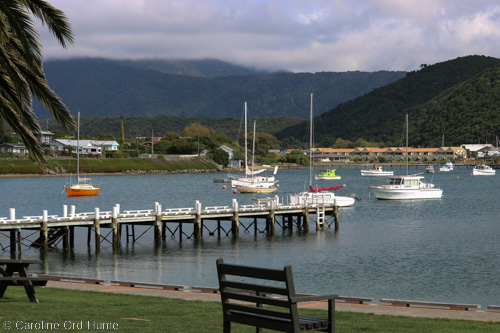 Waikawa Marina Marlborough Picton