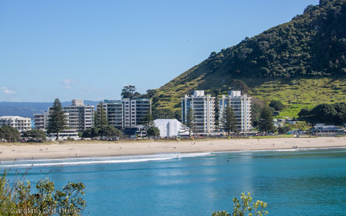 Mount Maunganui Accommodation, Beach, and Campsite