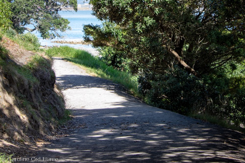 Mount Maunganui Base Track Easy Walking, New Zealand