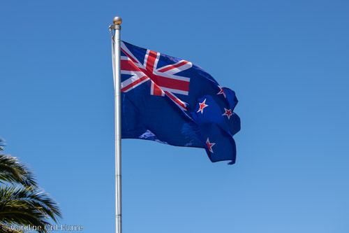 New Zealand Flag on a Pole in the Wind