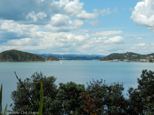Northland Bay of Islands Coast View Northland Bay of Islands Coast View